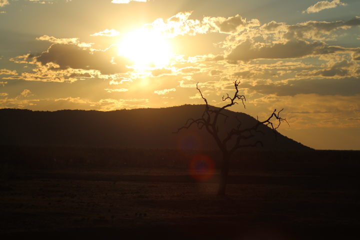 1_madikwe_suedafrika_game_drive_safari_lina_mallon_5