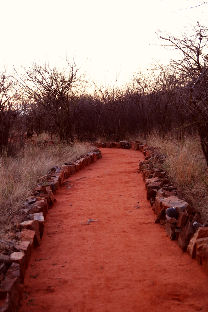 buffalo_ridge_safari_lodge_madikwe_lina_mallon_4