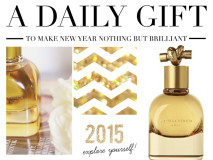 dailygift_linamallon_silvester_neujahr_1_larsson&jennings