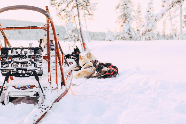 WEB_Ivalo_Husky_Lappland_Tour_lina_mallon-7884